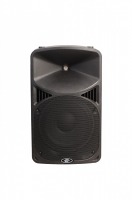 CRONO - SYSTEM NAGŁOŚNIENIOWY CA-12ML